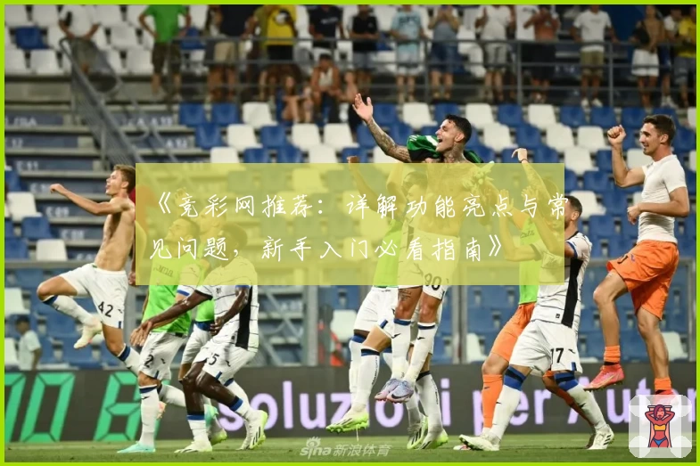 《竞彩网推荐：详解功能亮点与常见问题，新手入门必看指南》
