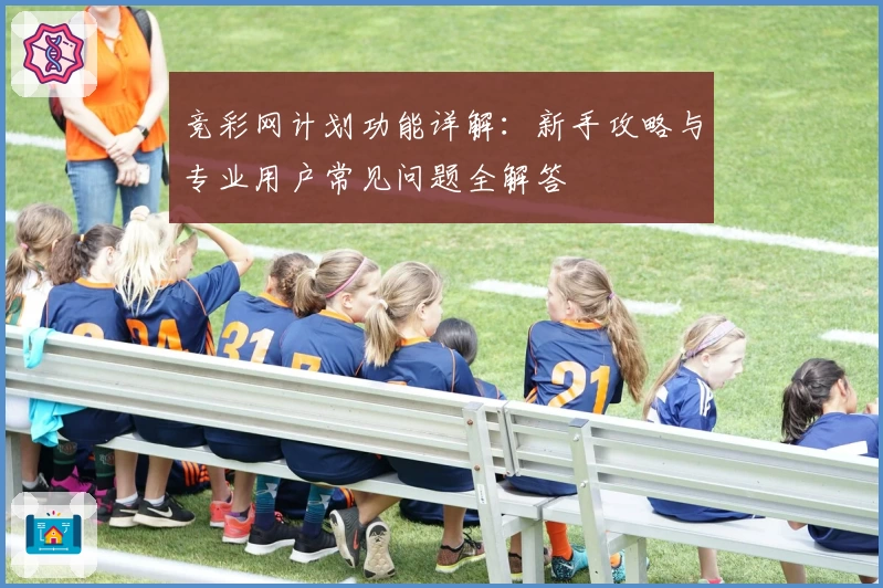 竞彩网计划功能详解：新手攻略与专业用户常见问题全解答